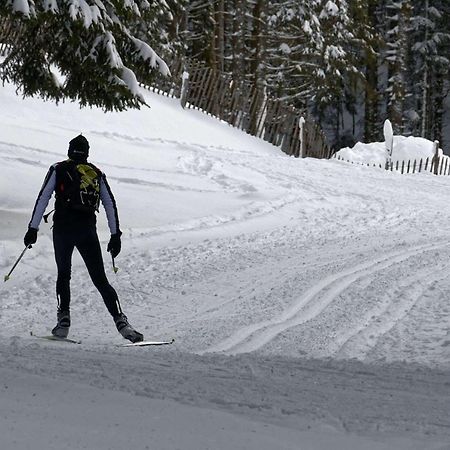 Chalet Les Camelias Spa Gerardmer Bagian luar foto