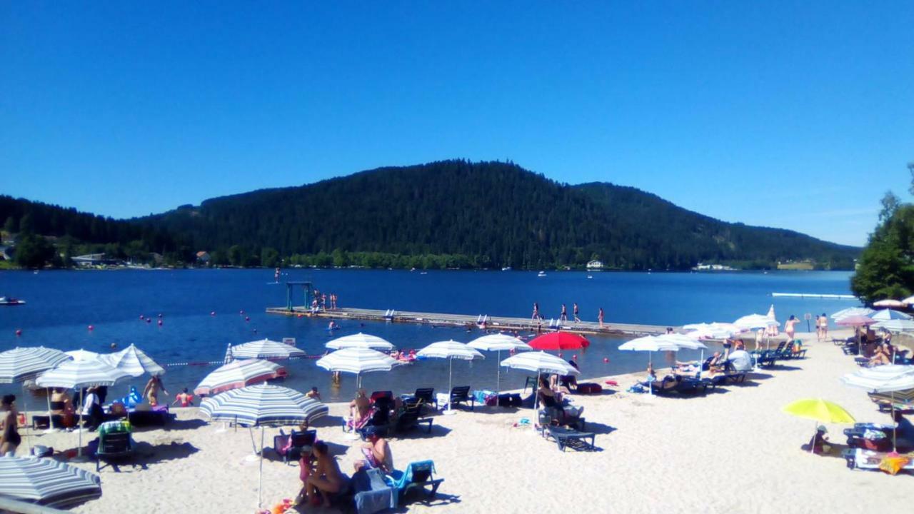 Chalet Les Camelias Spa Gerardmer Bagian luar foto