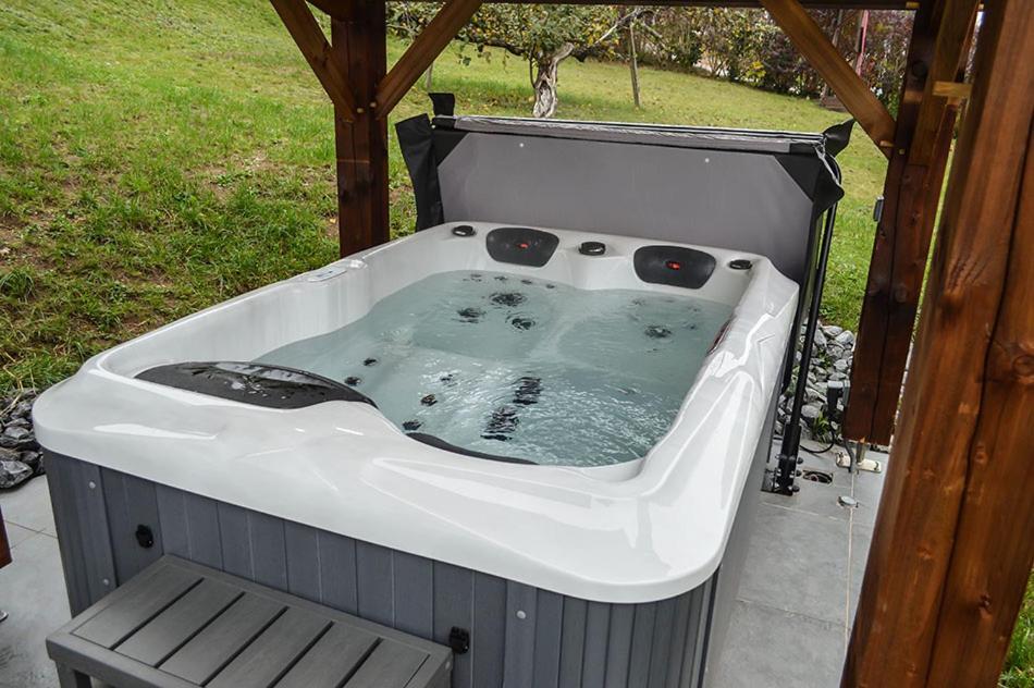 Chalet Les Camelias Spa Gerardmer Bagian luar foto