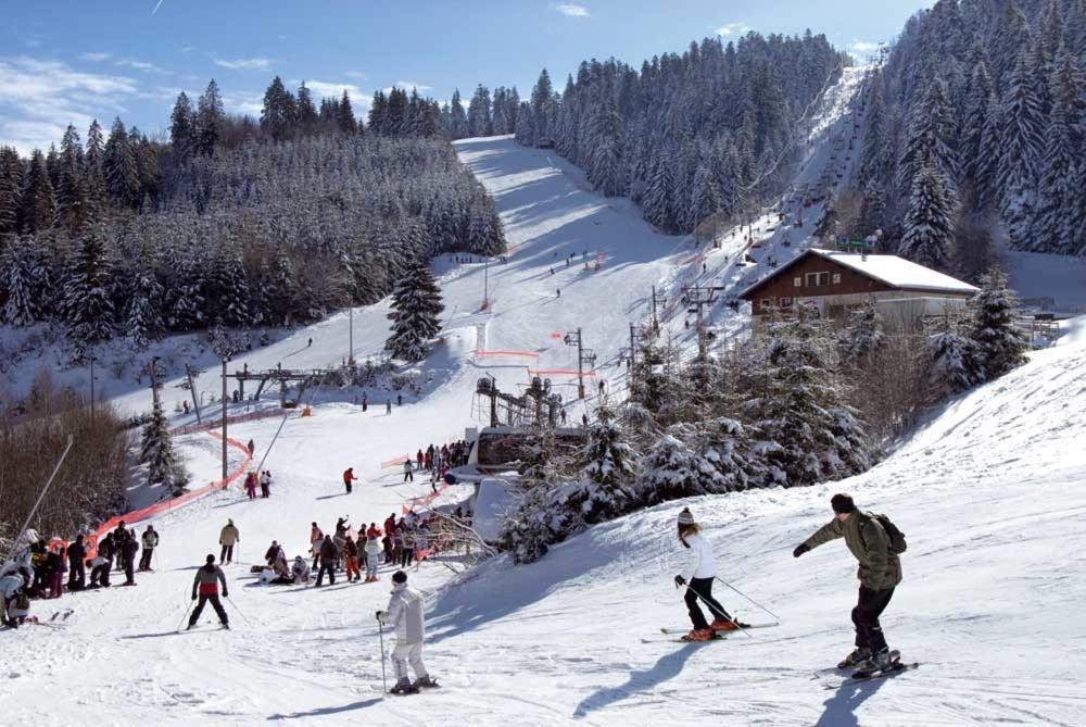 Chalet Les Camelias Spa Gerardmer Bagian luar foto